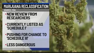 Marijuana reclassification