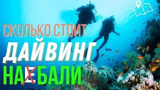 Сколько стоит дайвинг на Бали?