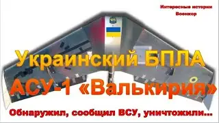 Военно-гражданский БПЛА АСУ-1 «Валькирия». Обнаружил, сообщил ВСУ, уничтожили…