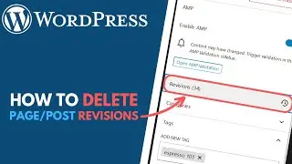 WordPress: How to Delete Page and Post Revision History // Simple Revisions Delete Plugin