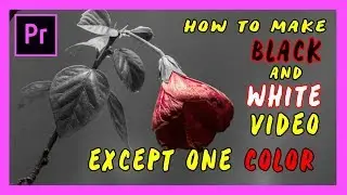 How to Make a VIDEO B&W Except One COLOR in Adobe Premiere Pro 2018