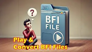How to Convert BFI Files to MP4?