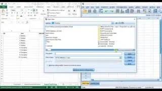 SPSSisFun: Importing data from Excel into SPSS