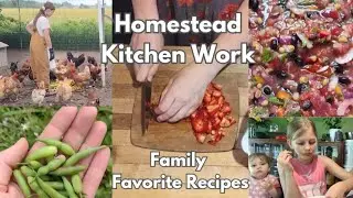 The Best Fresh Salsa Recipe ~ Plus More Large Family Homesteading