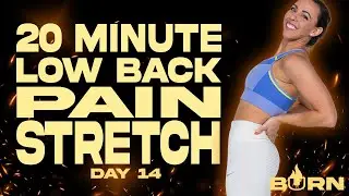 20 Minute Low Back Pain Stretch | BURN - Day 14