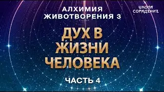 Проявление духа в жизни человека #АлхимияЖивотворения3 #Гарат #дух #ЖивыеСеминары