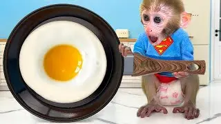 Monkey Baby Bon Bon eats rainbow fried eggs and bathes with ducklings in the toilet