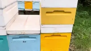 Клещ есть