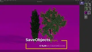 Salve Objects Plugin