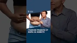 . Главное правило избавления от жира на животе!