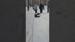 кормим зверя в лесу. зима самое трудное время для зверя.озота в Тюмени 