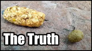 The TRUTH About Carp Bait - Does Bait REALLY Matter? (USA Carp Fishing)