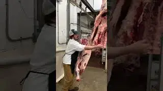 Cutting Half a Swinging Beef into Quarters