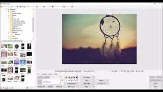 Como editar suas fotos com o Photoscape
