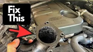 Ford Ranger EGR Intake Manifold Sludge Build Up & Prevention