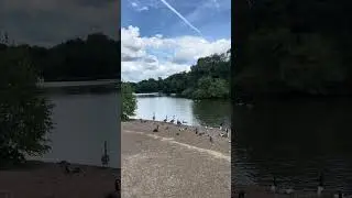 Ducks in Heaton Park Manchester