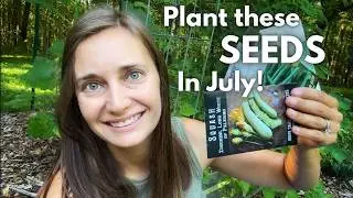 Seeds you Can STILL Plant in July!