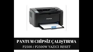 Pantum P2500 / P2500W / M6500 / M6500W / M6550 / M6550NW  Yazıcı Reset | Chipsiz Çalıştırma  Fix