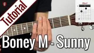 Boney M. (Bobby Hebb) - Sunny | Gitarren Tutorial Deutsch