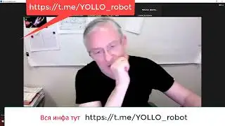 Честный обзор проекта YOLLLO Разобрали до мелочей, встреча с лидером Yolllo