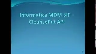 13. Informatica MDM SIF - CleansePut API