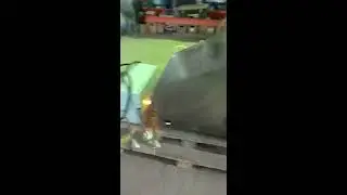 Видео работы шприца МВФН 100 | ЕстьБУ