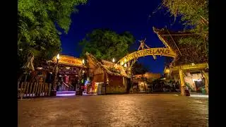 Disneyland's Enchanted Tiki Room: Enchanted Garden Music Loop