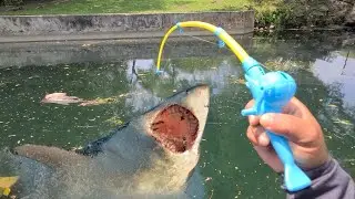 $1 TOY FISHING ROD Catches BIG FISH!!!