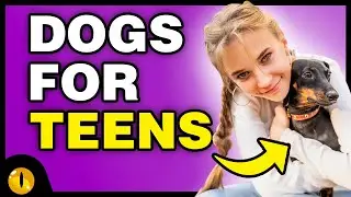 TOP 10 DOG BREEDS FOR TEENS