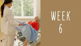 6 Weeks Pregnant - Pregnancy Week by Week