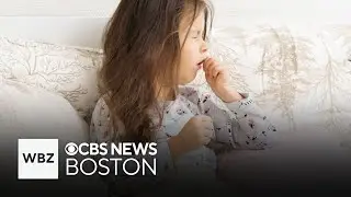 Whooping cough cases on the rise nationwide