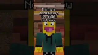 Minecraft Chest Trick