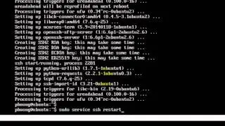 How to install OpenSSH Server in Ubuntu Server 14.04 and Remotely via Putty