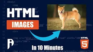 How to add Images in HTML - Learn HTML Images in 10 minutes