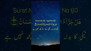 Daily Ayat with urdu Translation | Islamic Quotes #islam #status #azharhashmi