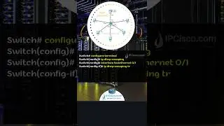 Cisco DHCP Snooping Configuration Example..! | FREE CCNA 200-301 Shorts | IPCisco.com