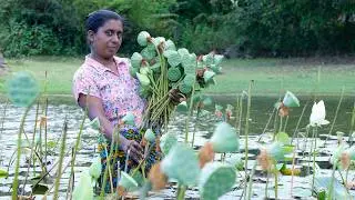 Lotus seeds / can be consumed as a food for a healthy diet. .village kitchen recipe