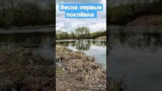 Весна первые поклёвки 