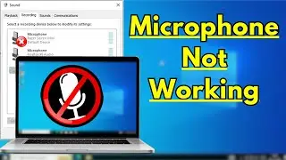 Microphone Not Working on Windows 10