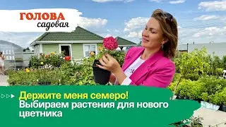 Голова садовая - Держите меня семеро! Выбираем растения для нового цветника