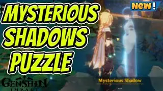 Mysterious Shadows Puzzle *SOLVED* - World Quest: Sacrificial Offering | Genshin Impact