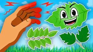 Don't Touch THESE Plants! | Learning Songs For Kids | KLT