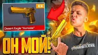 ДИГЛ AUREATE ТЕПЕРЬ У МЕНЯ 😎 STANDOFF 2