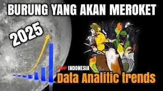 BURUNG YANG AKAN MEROKET 2025 Analytics trends Live ABF INDONESAI