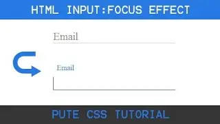 HTML Input focus effect || Using HTML and CSS