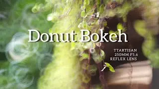 Weird Donut Bokeh:  TTAritsan 250mm f5.6 Reflex Lens