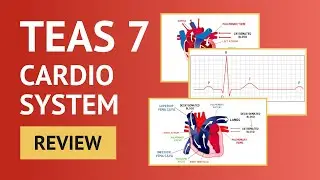 TEAS 7 Science Cardio Review