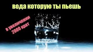 Вода из КРАНА, КОЛОДЦА, КИПЯЧЕНАЯ, ФИЛЬТР, МАГАЗИННАЯ, при увеличении 2000x | Сон Разума