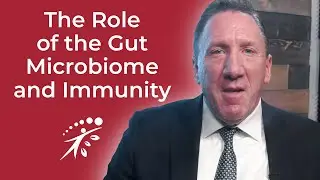 The Role of the Gut Microbiome and Immunity