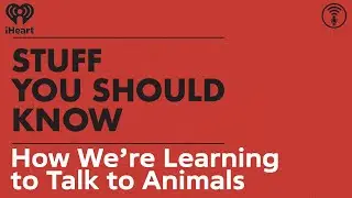 How We’re Learning to Talk to Animals | STUFF YOU SHOULD KNOW